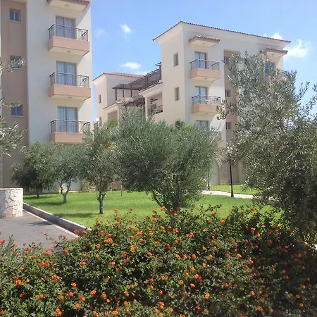 Oracle Exclusive B101 * Paphos